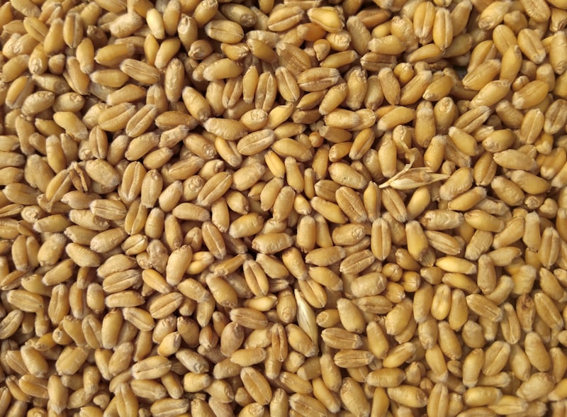 Agriculture news